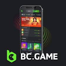 Understanding BC Fun Legal Your Guide to Safe Gaming Understanding BC Fun Legal Your Guide to Safe Gaming