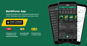 Exploring BetWinner Your Ultimate Online Betting Platform