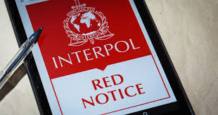 Understanding the Role of Interpol Defense Lawyers in International Criminal Cases