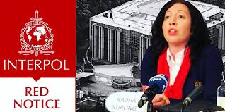 Understanding the Role of Interpol Defense Lawyers in International Criminal Cases
